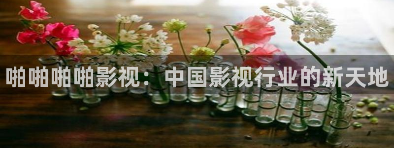涩涩爱超碰在线：啪啪啪啪影视：中国影视行业的新天地