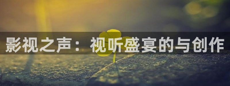 琪琪色超碰：影视之声：视听盛宴的与创作