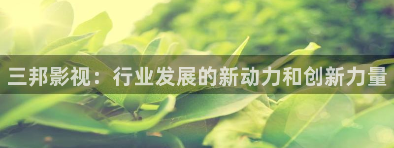 超碰av在线免费看：三邦影视：行业发展的新动力和创新力量