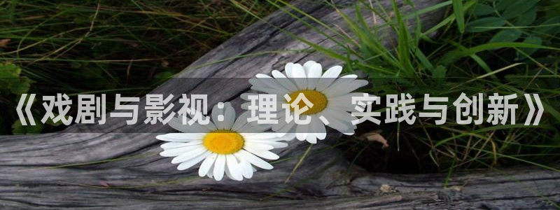 超碰在线下载：《戏剧与影视：理论、实践与创新》