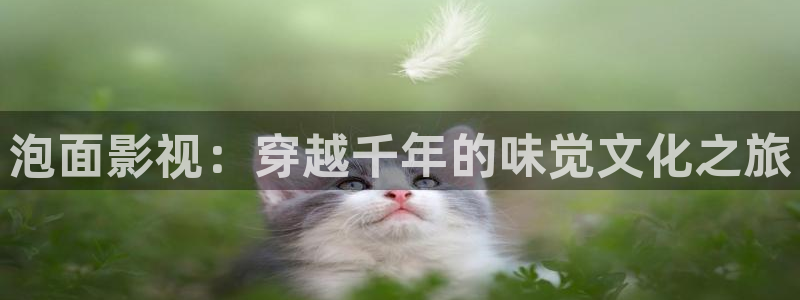 超碰成人在线视频观看：泡面影视：穿越千年的味觉文化之旅