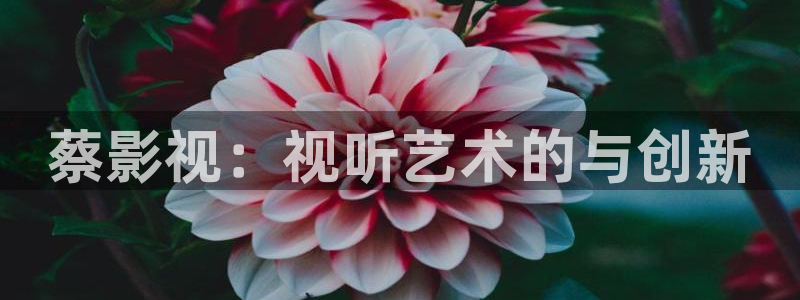 97超碰影院：蔡影视：视听艺术的与创新